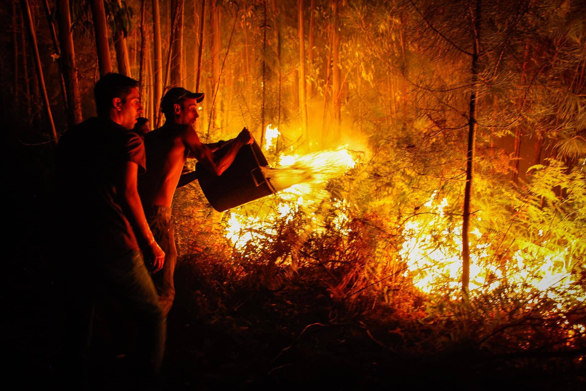 Fotografia de João Porfírio/Observador