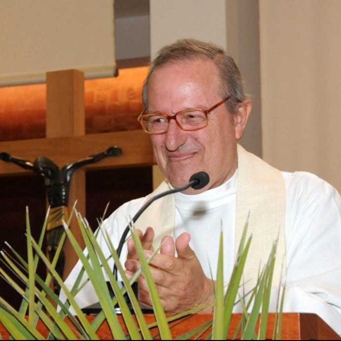 P. António Vaz Pinto