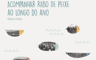 Acompanhar Rabo de Peixe ao longo do ano