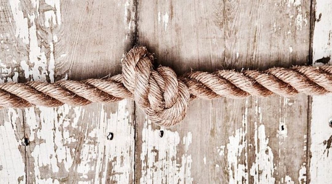 Noite de Compromissos